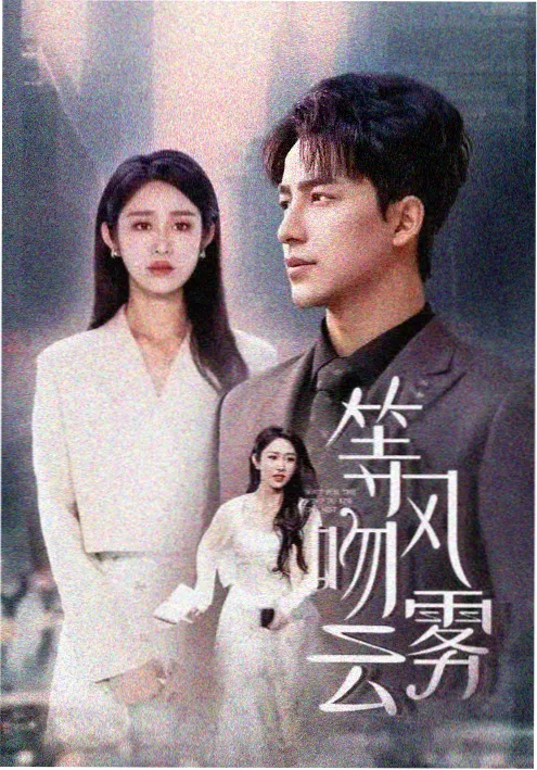 黑蚂蚁影院年代剧长夜将明海报